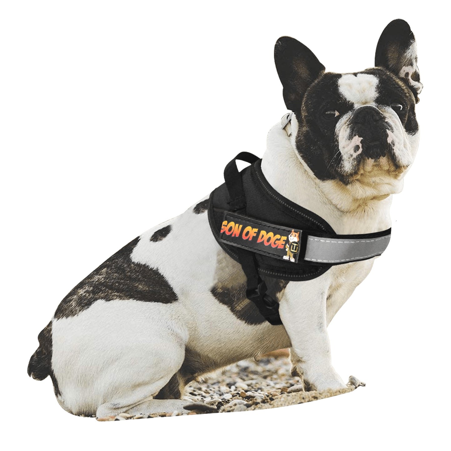 Son Of Doge Pet Chest Strap & Traction Rope (Small)